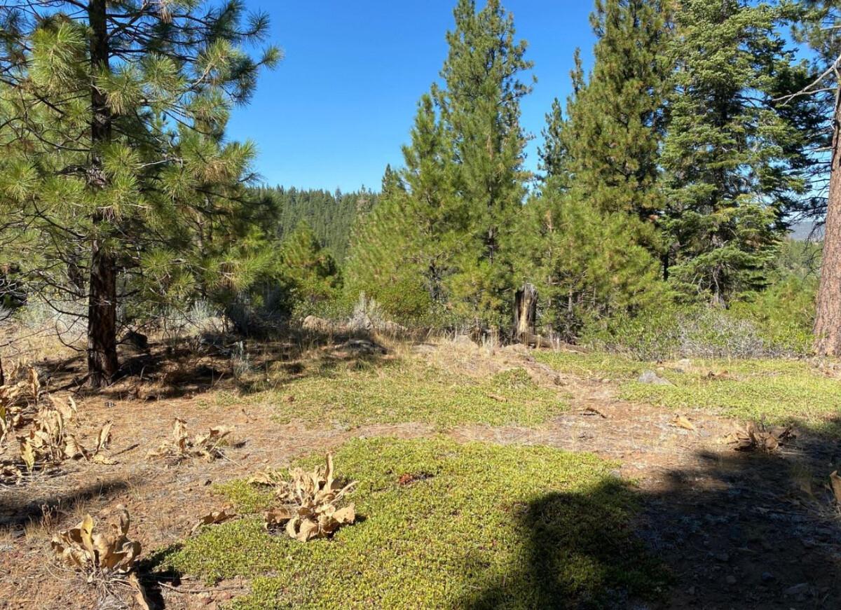  1 Acres for Sale in Alturas, CA