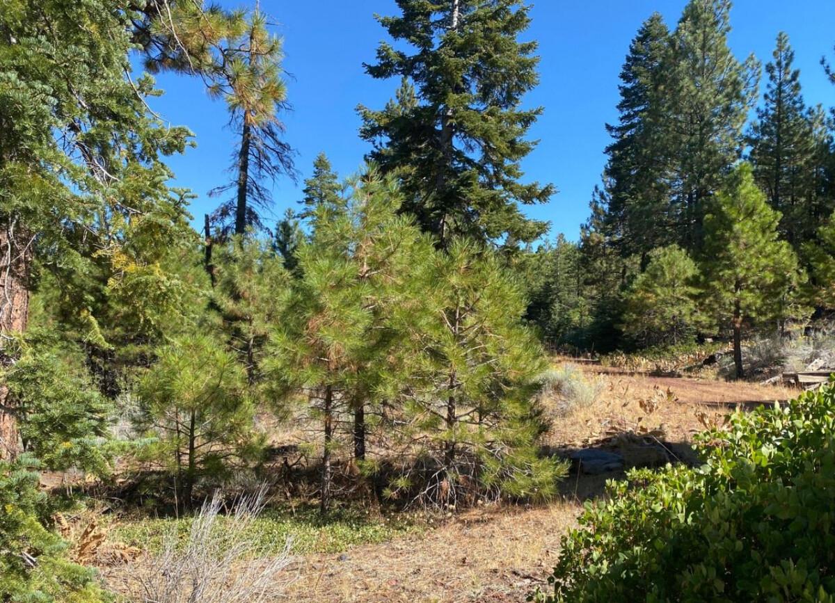  1 Acres for Sale in Alturas, CA