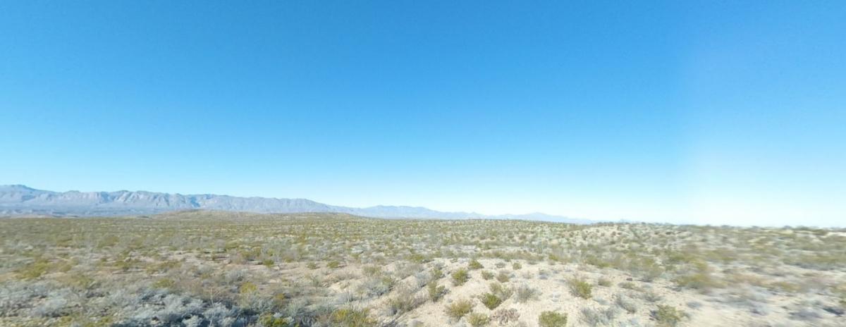  20 Acres for Sale in Ruidosa, TX