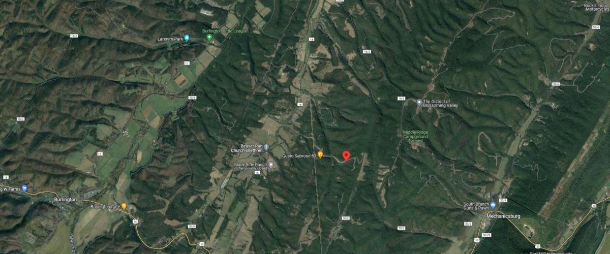  10.159 Acres for Sale in Burlington, WV