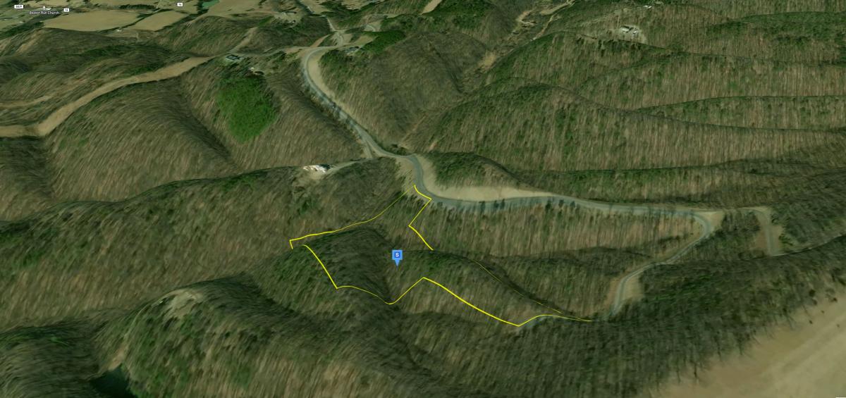  10.159 Acres for Sale in Burlington, WV