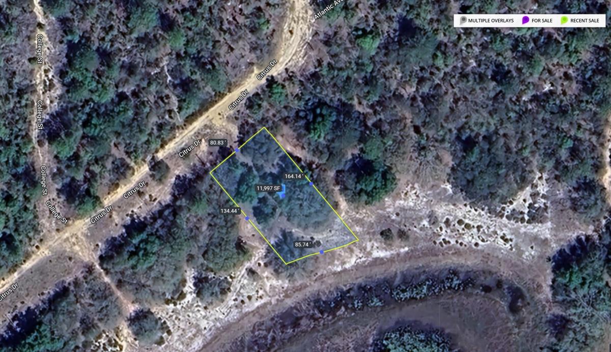  0.28 Acres for Sale in Interlachen, FL