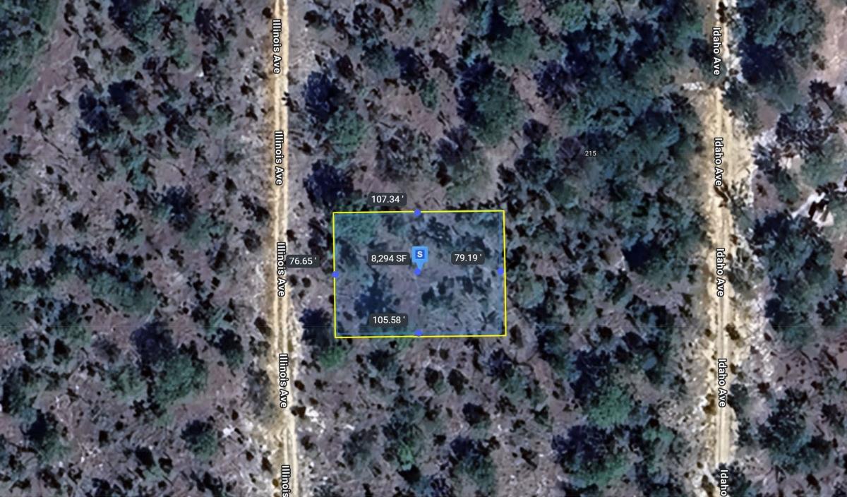  0.2 Acres for Sale in Hawthorne, FL