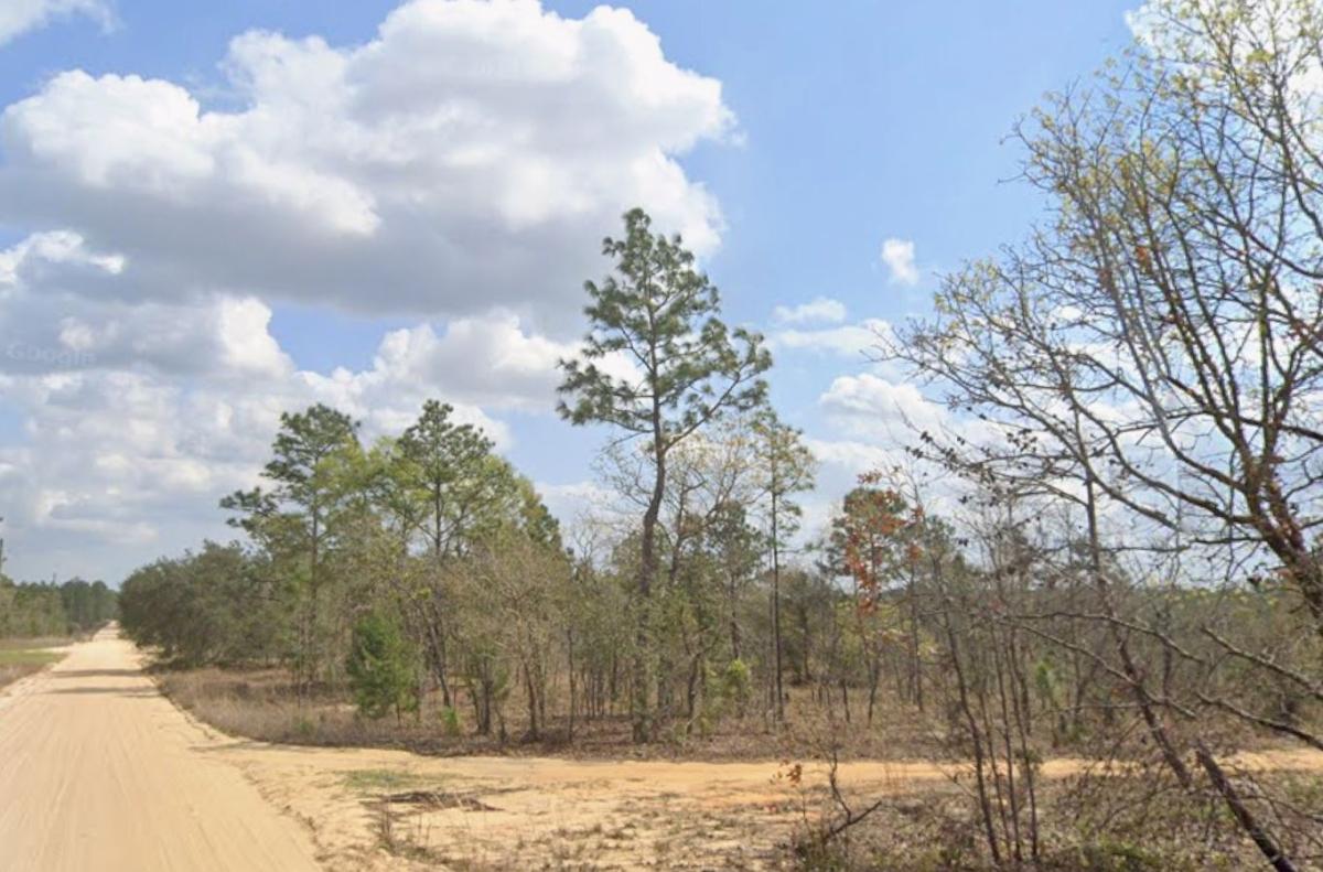  0.2 Acres for Sale in Interlachen, FL