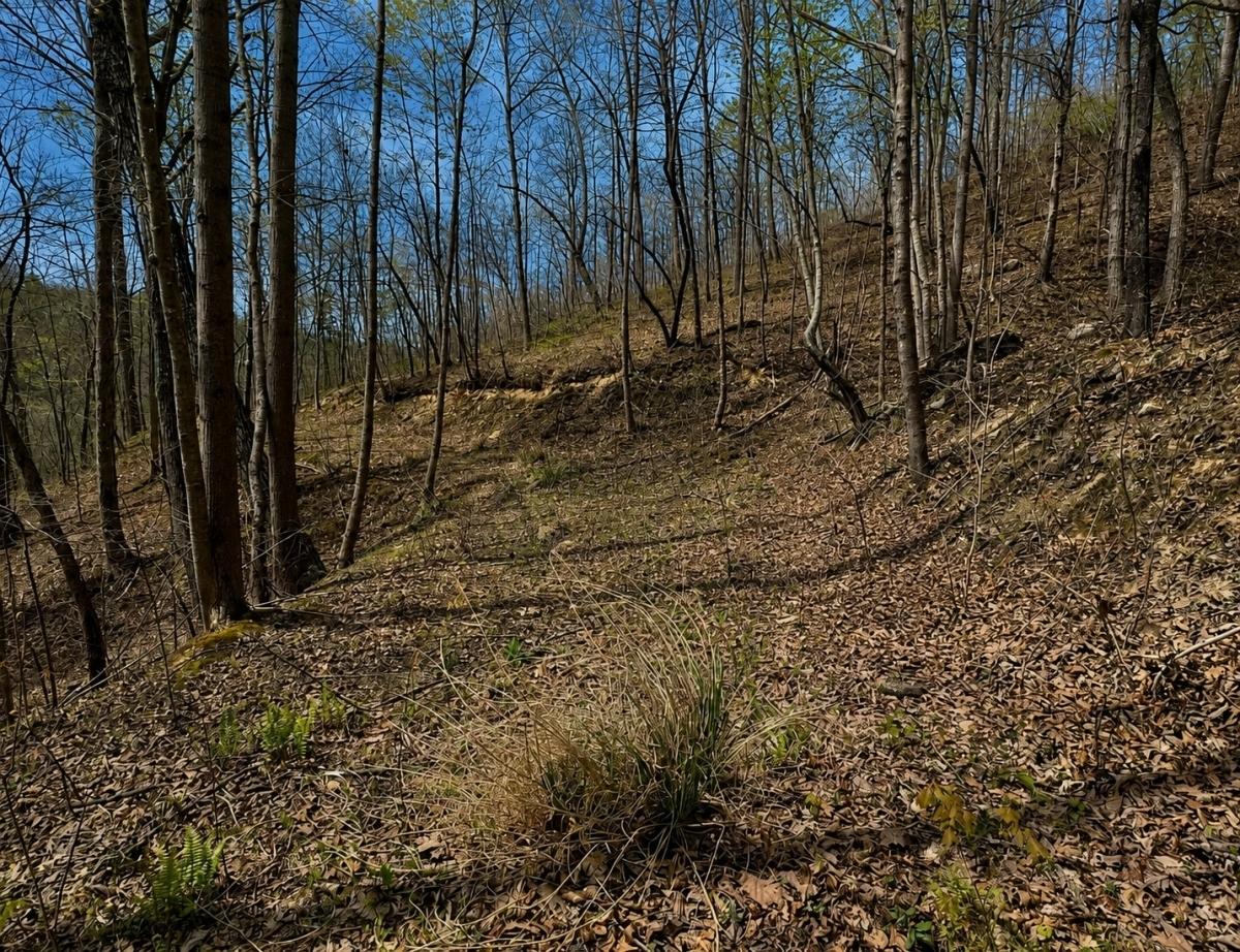  13 Acres for Sale in Hinkle, KY