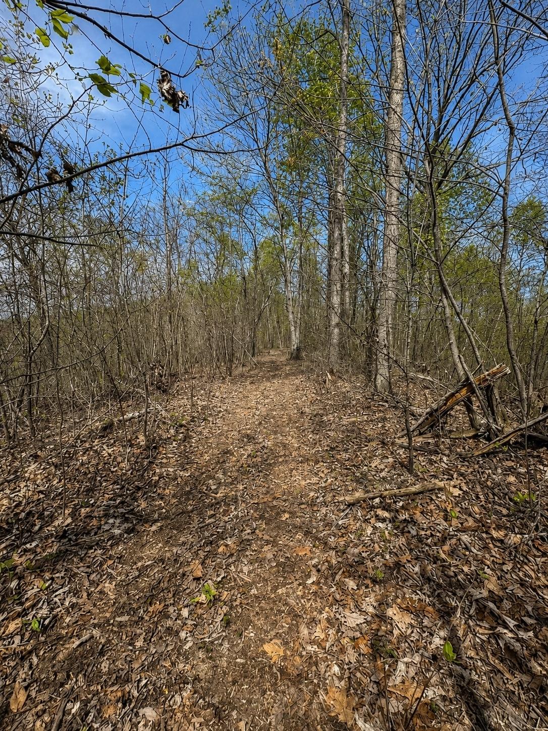  13 Acres for Sale in Hinkle, KY