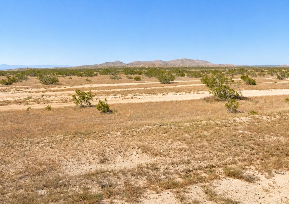  2.8 Acres for Sale in California City, CA