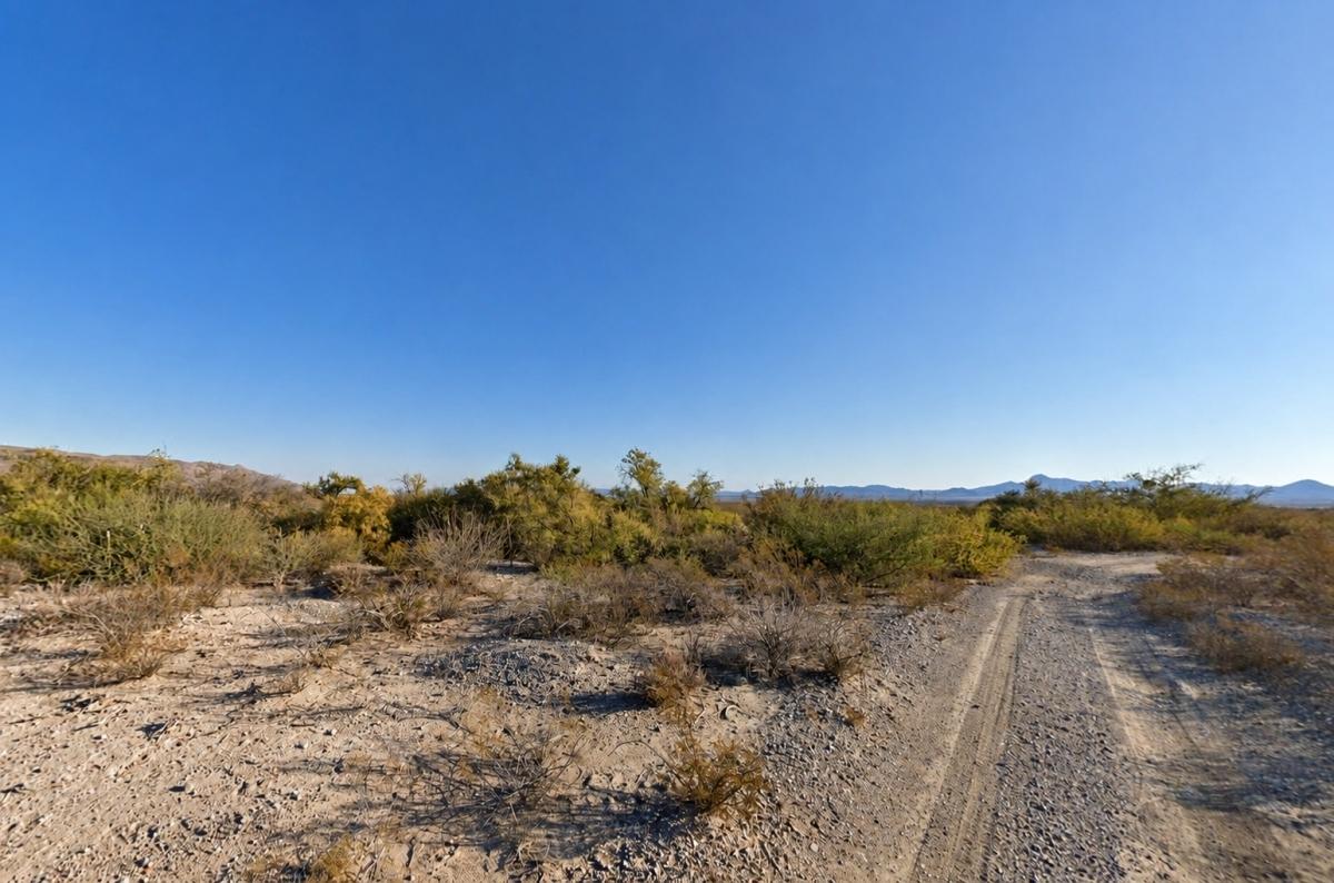  20 Acres for Sale in Scotts Crossing, TX