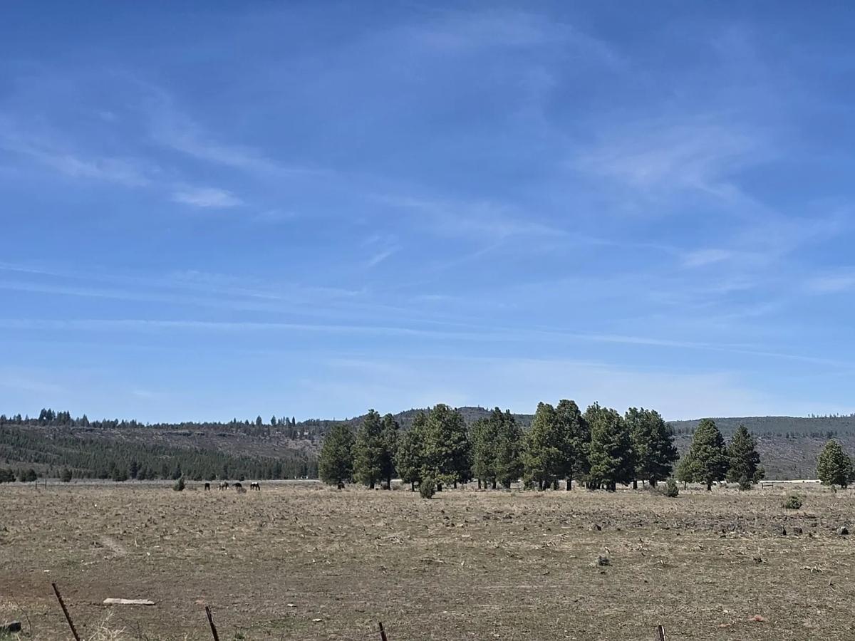  120 Acres for Sale in Sprague River, OR