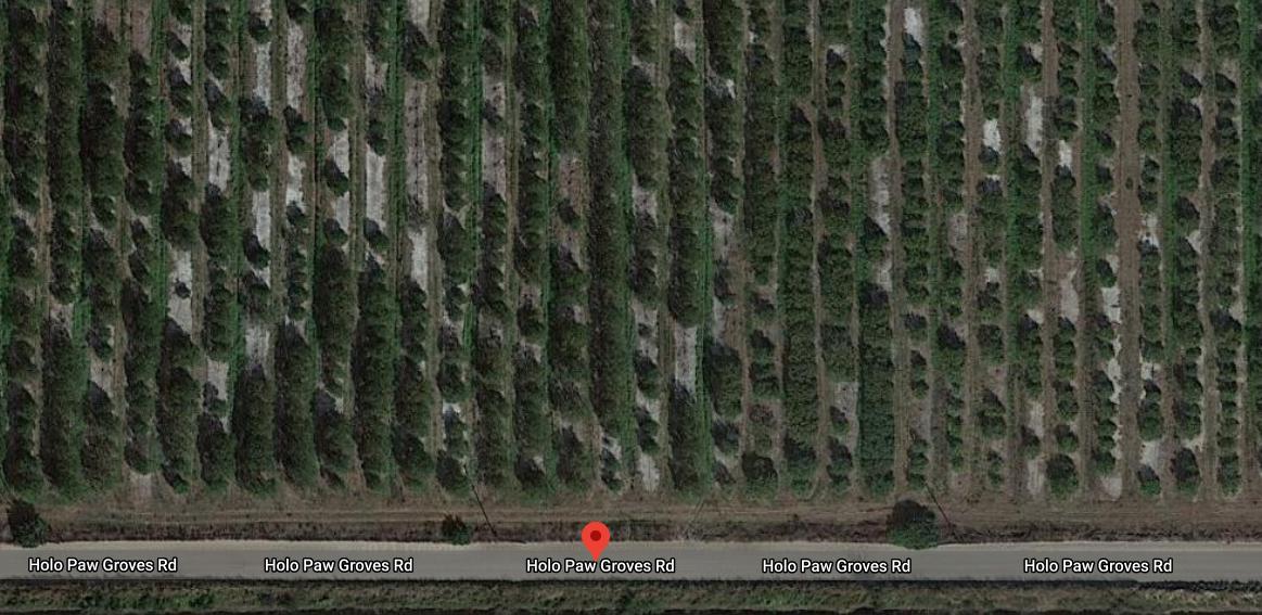 1.25 Acres for Sale in St. Cloud, FL
