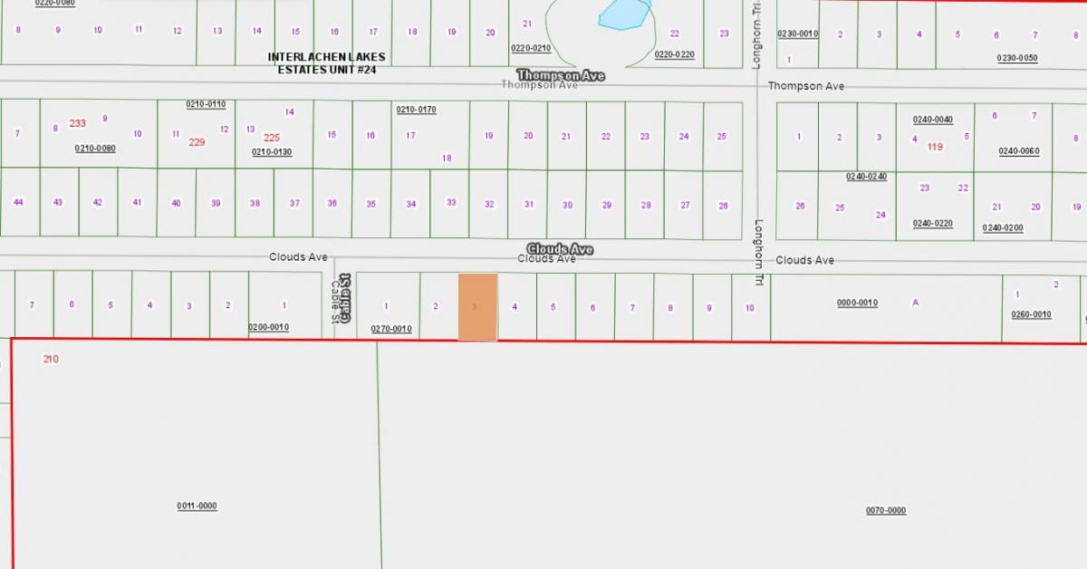0.22 Acres for Sale in Interlachen, FL