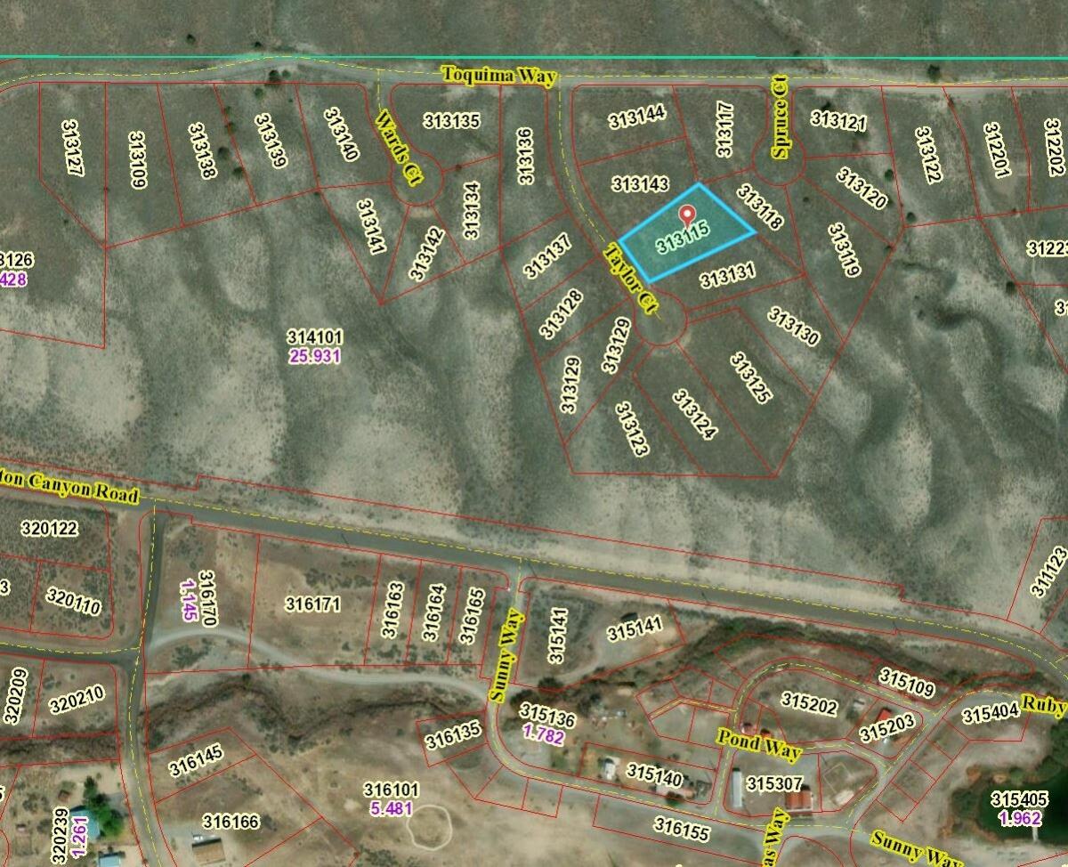 0.43 Acres for Sale in Kingston, NV