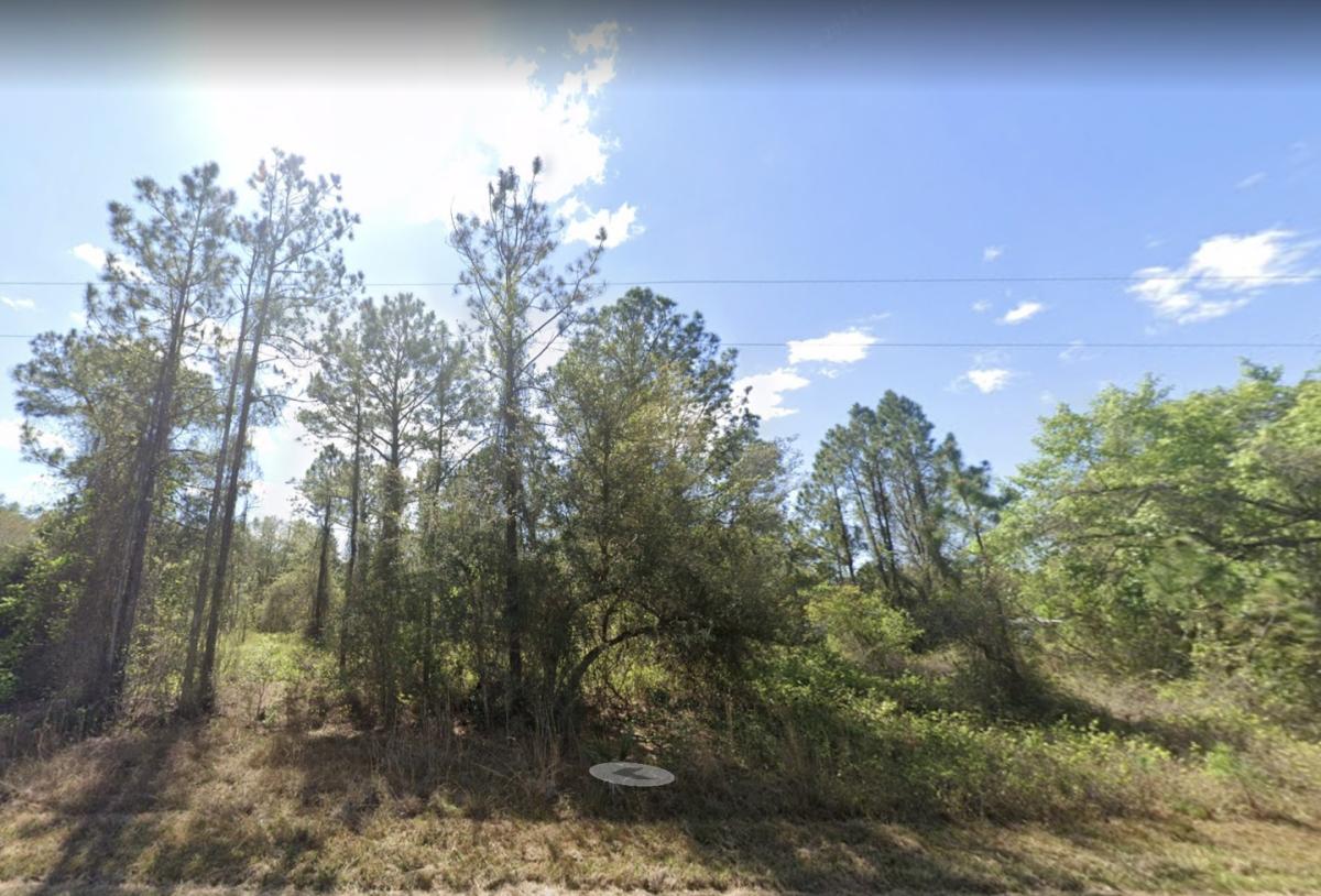 2 Lots for Sale in Georgetown, FL