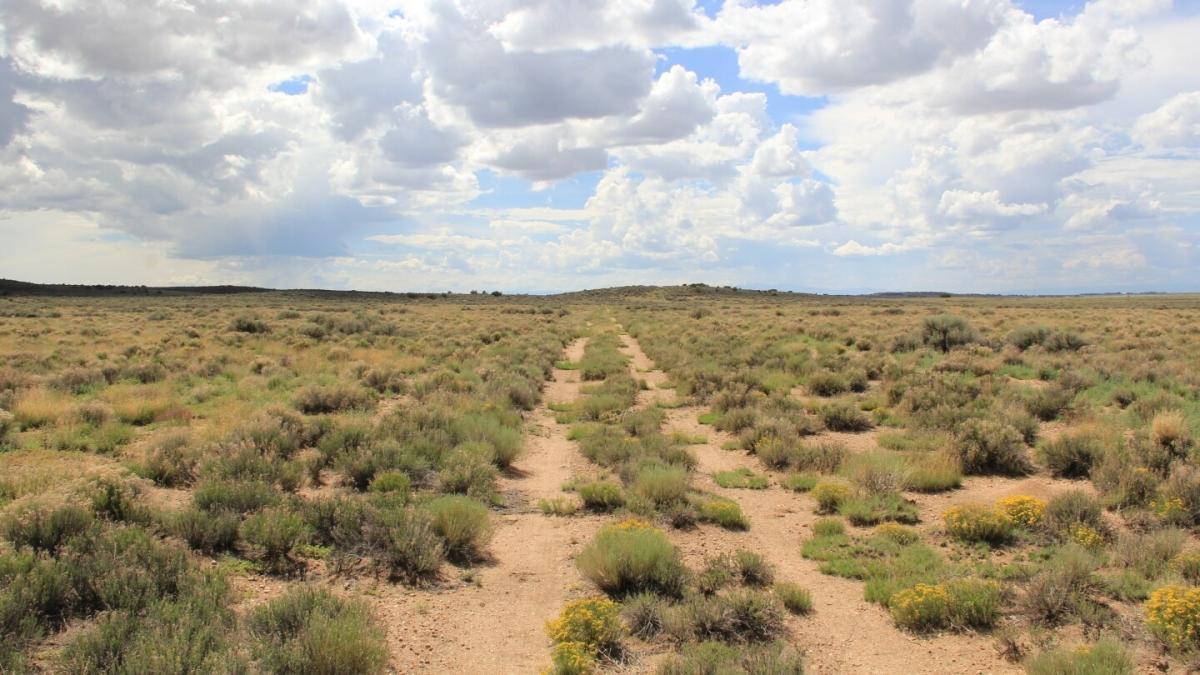 5 Acres for Sale in Blanca, Colorado