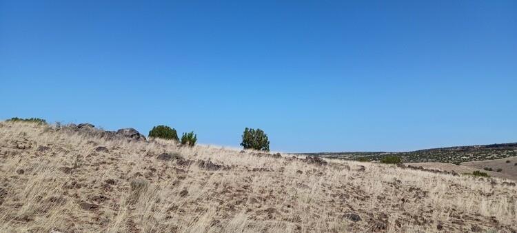 1.04 Acres for Sale in Concho, Arizona