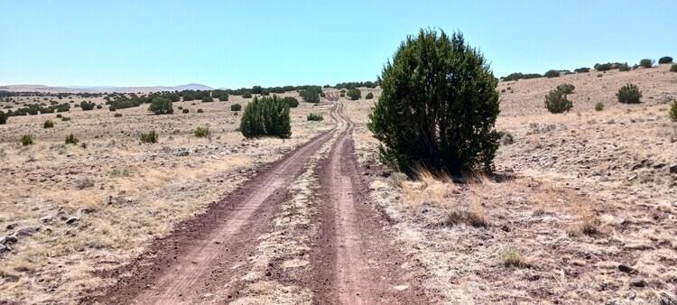 1.04 Acres for Sale in Concho, Arizona