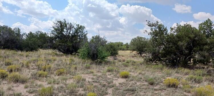 5 Acres for Sale in Saint Johns, Arizona