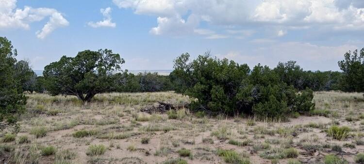 5 Acres for Sale in Saint Johns, Arizona