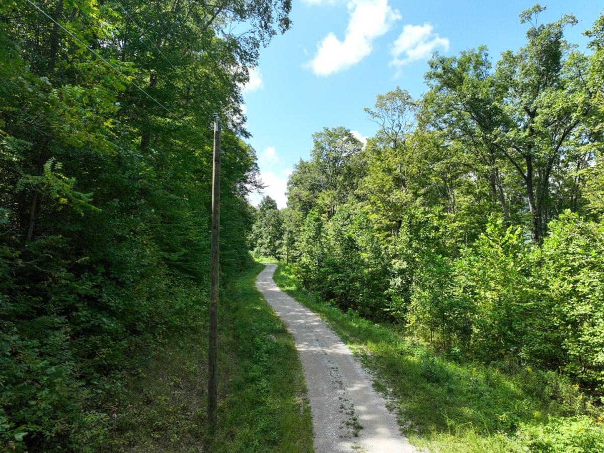 26.29 Acres for Sale in Jamestown, TN