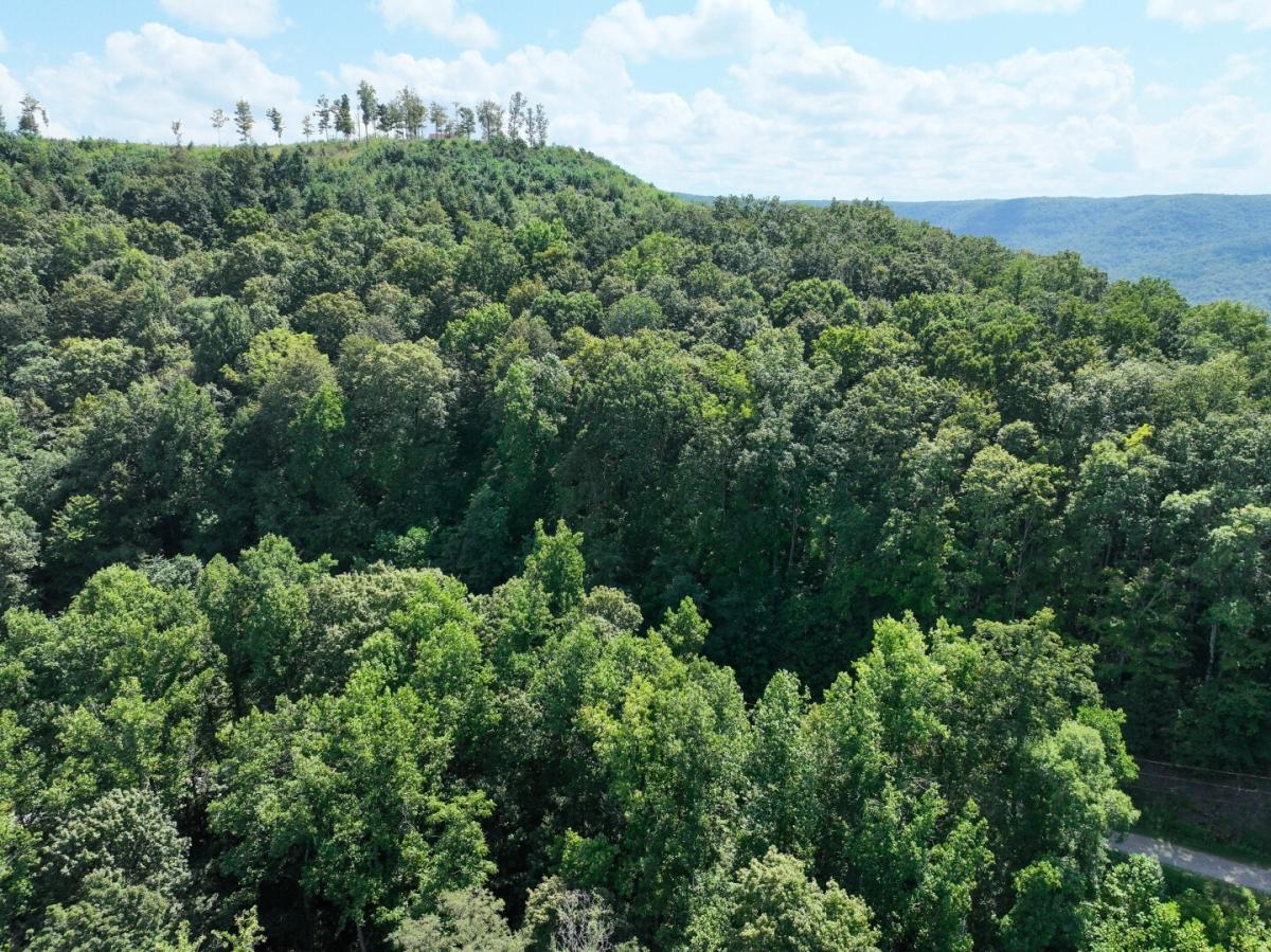 26.29 Acres for Sale in Jamestown, TN