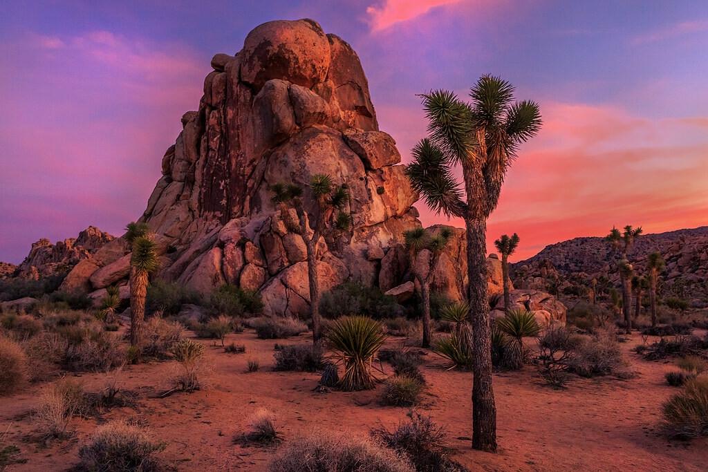 5 Acres for Sale in Lucerne Valley, California