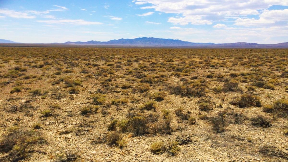 1.9 Acres for Sale in Montello, NV