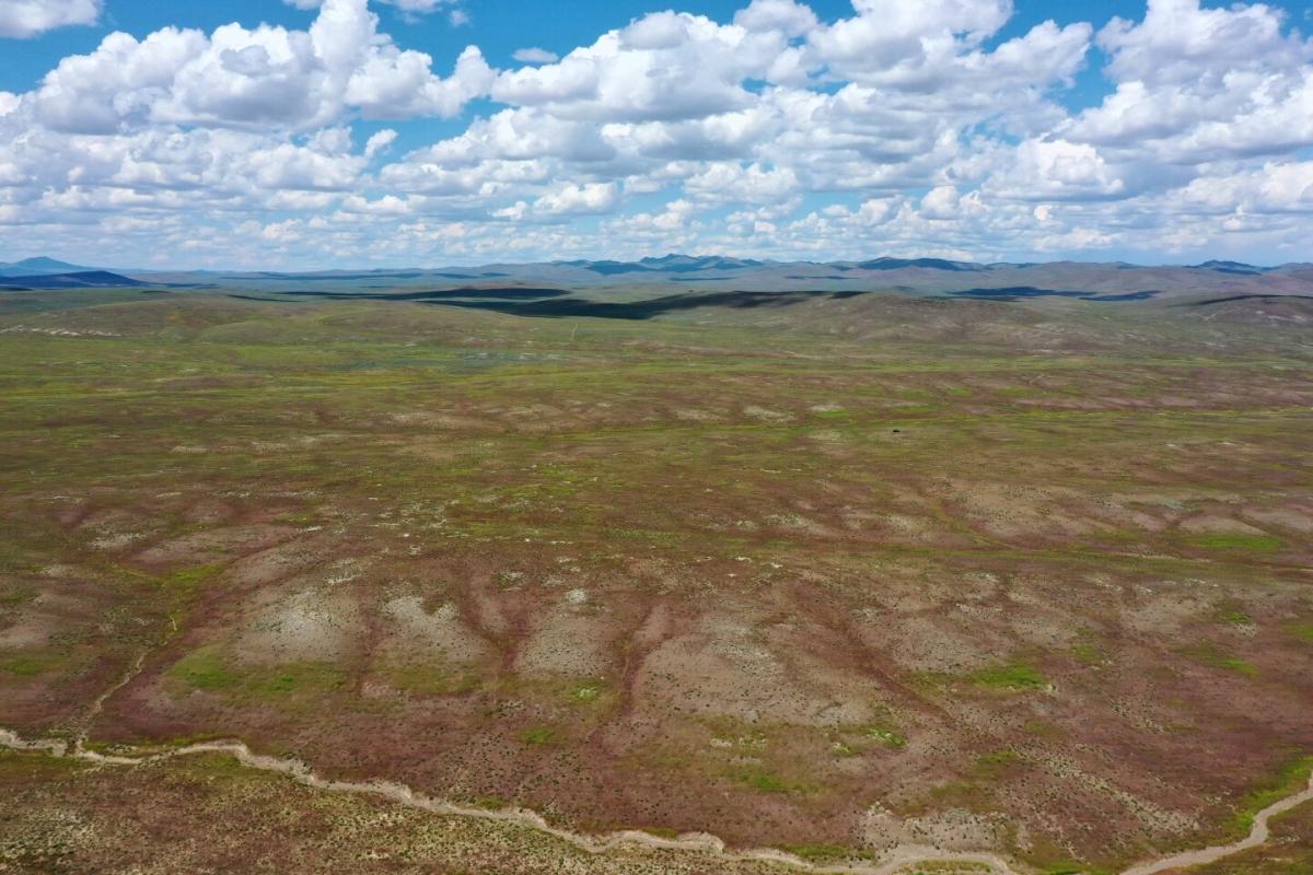 40 Acres for Sale in Elko, Nevada
