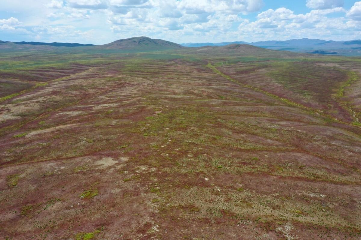 40 Acres for Sale in Elko, Nevada