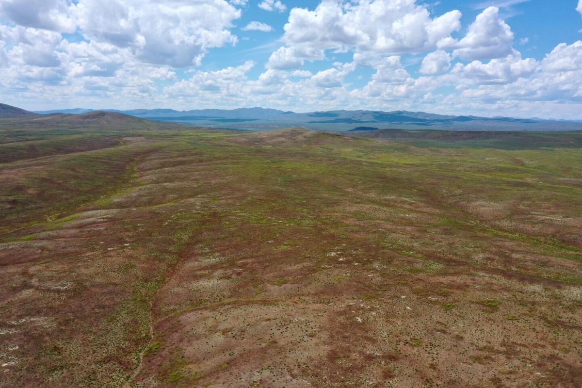 40 Acres for Sale in Elko, Nevada