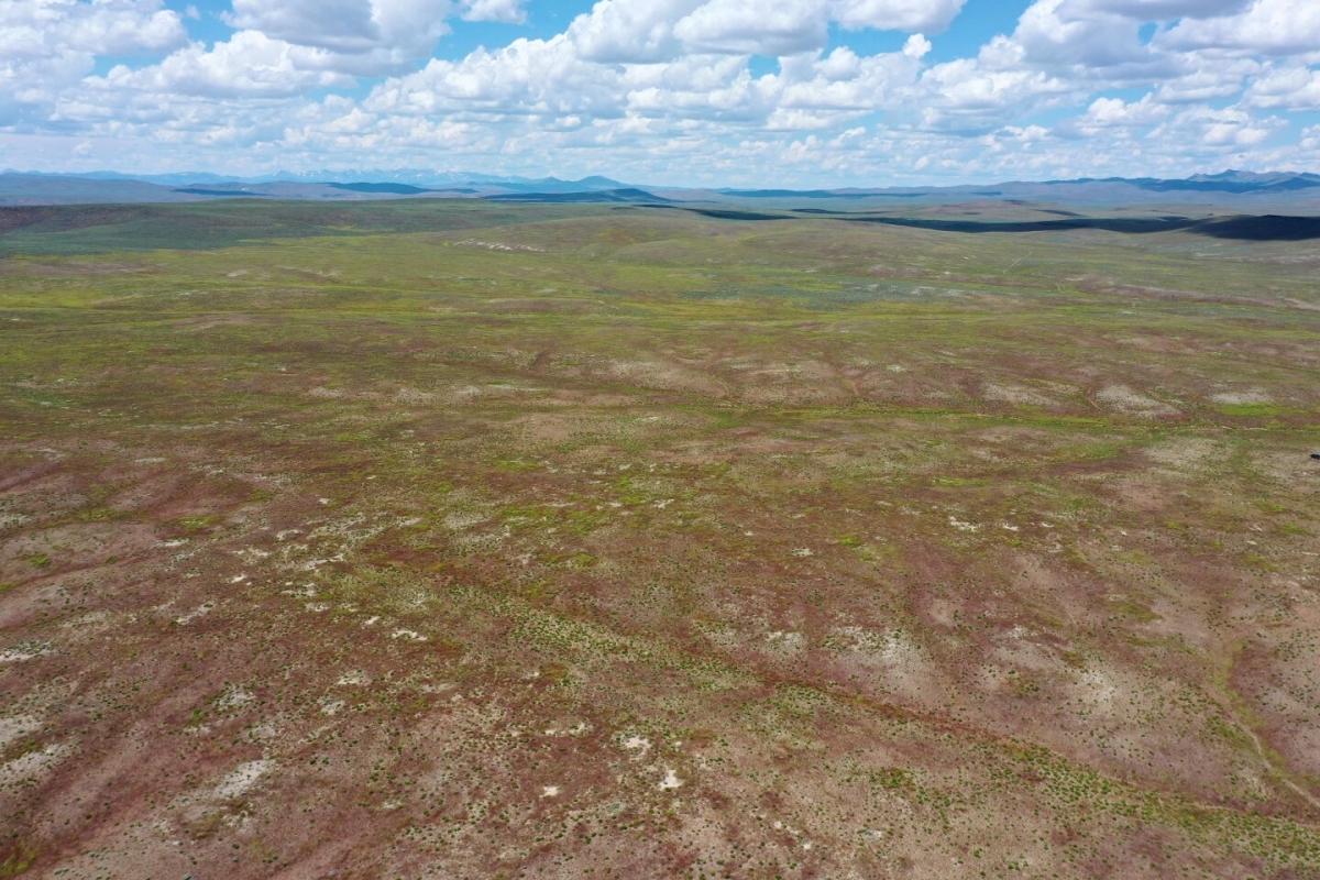 40 Acres for Sale in Elko, Nevada