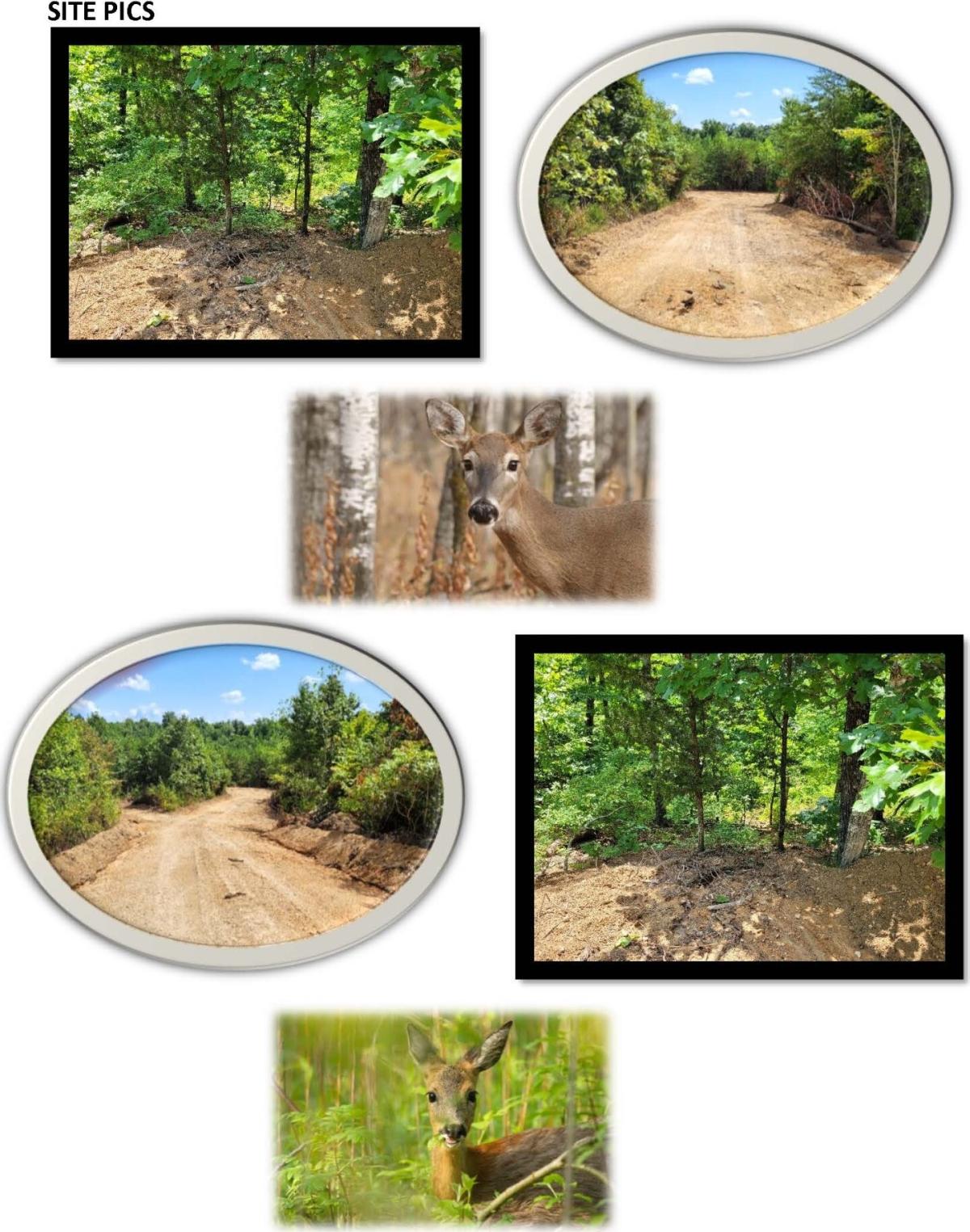 5 Acres for Sale in Linden, TN