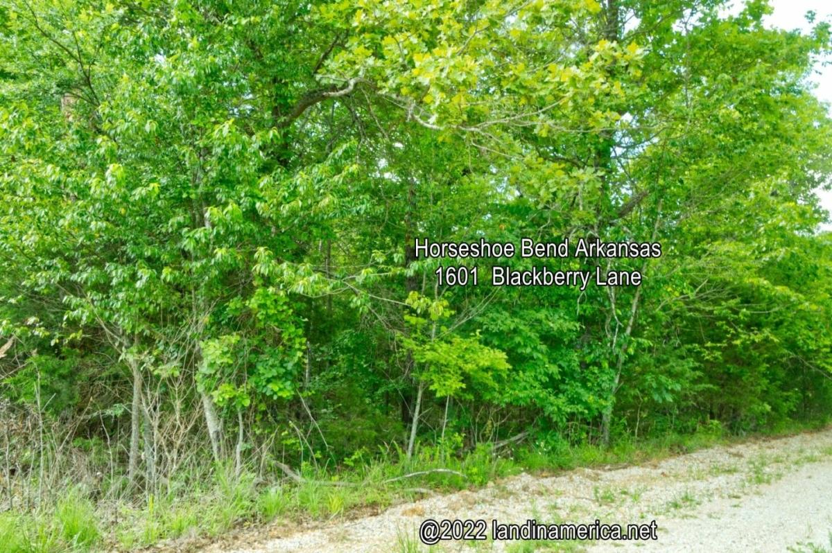 0.25 Acres for Sale in Horseshoe Bend, Arkansas