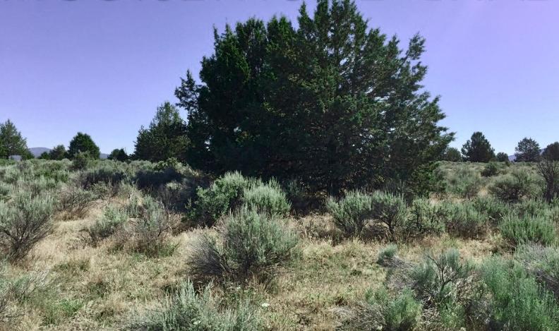 1.36 Acres for Sale in Sprague River, Oregon