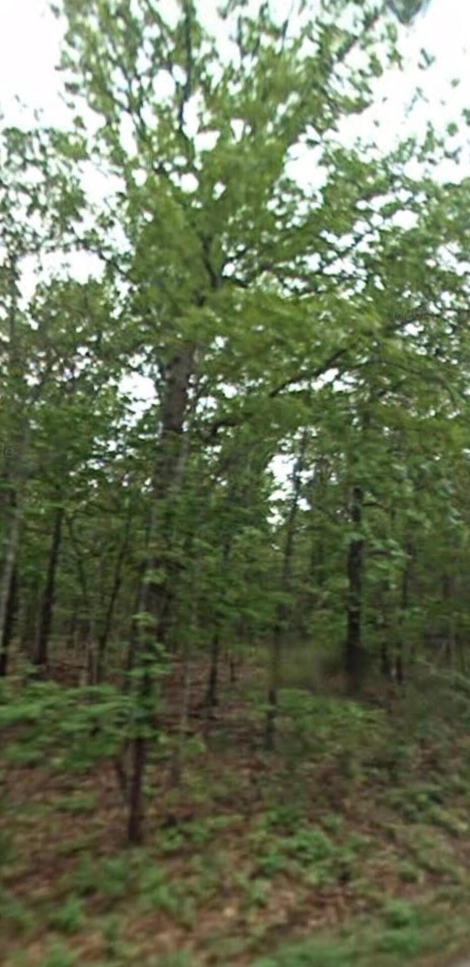 0.35 Acres for Sale in Cherokee Village/highland, Arkansas