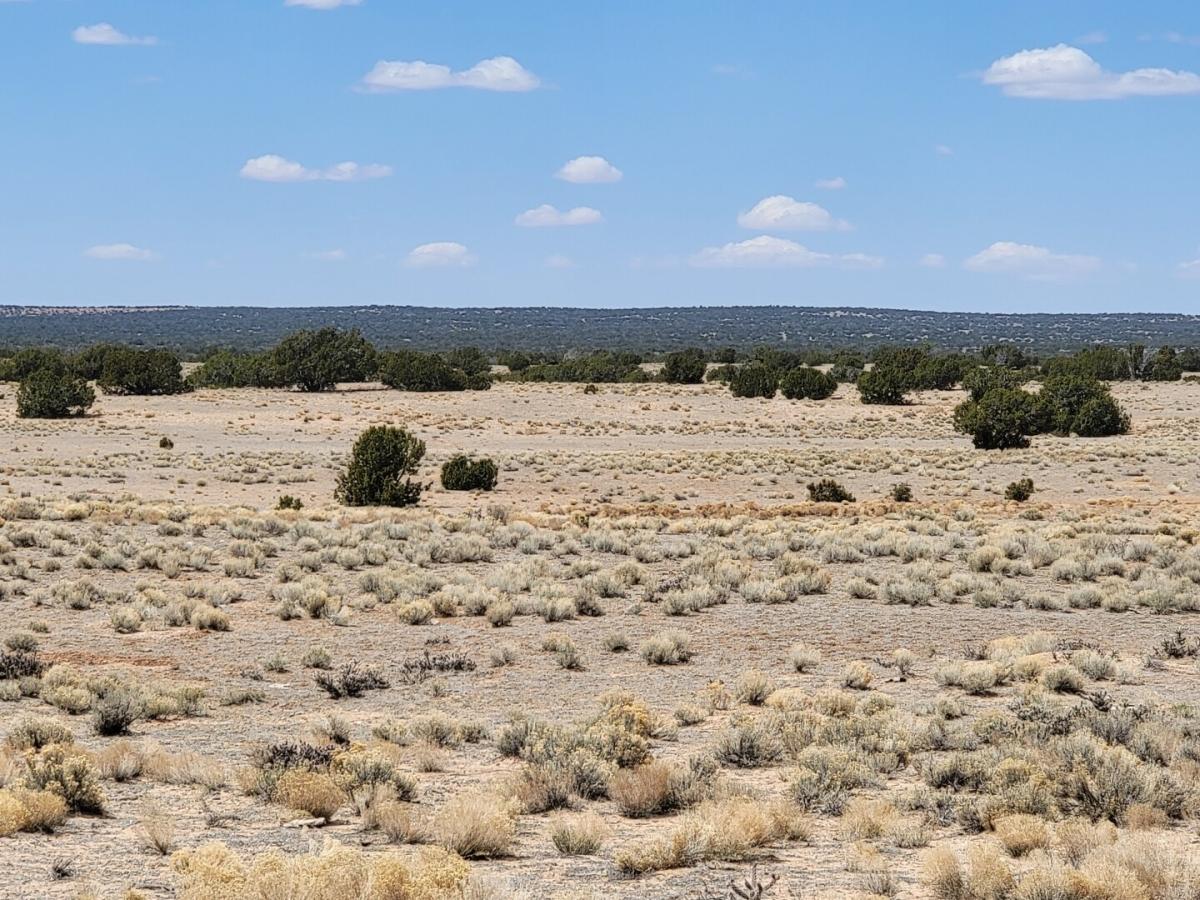 3.75 Acres for Sale in Saint Johns, Arizona