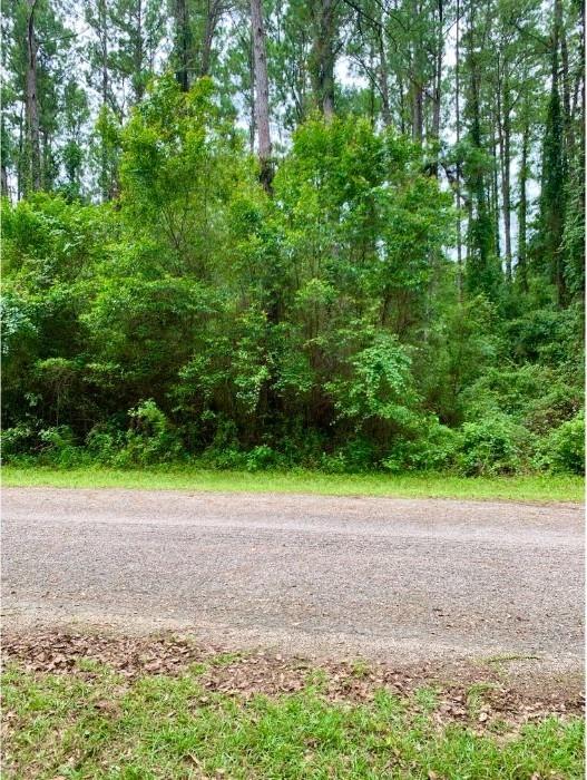 0.33 Acres for Sale in Citrus Springs, FL