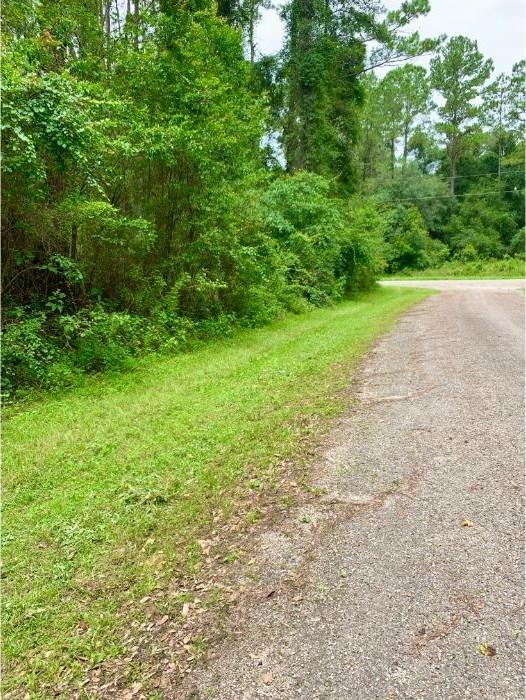 0.33 Acres for Sale in Citrus Springs, FL
