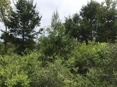 0.25 Acres for Sale in Chipley, Florida