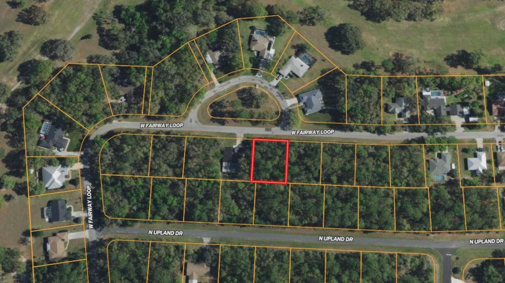 0.29 Acres for Sale in Citrus Springs, Florida