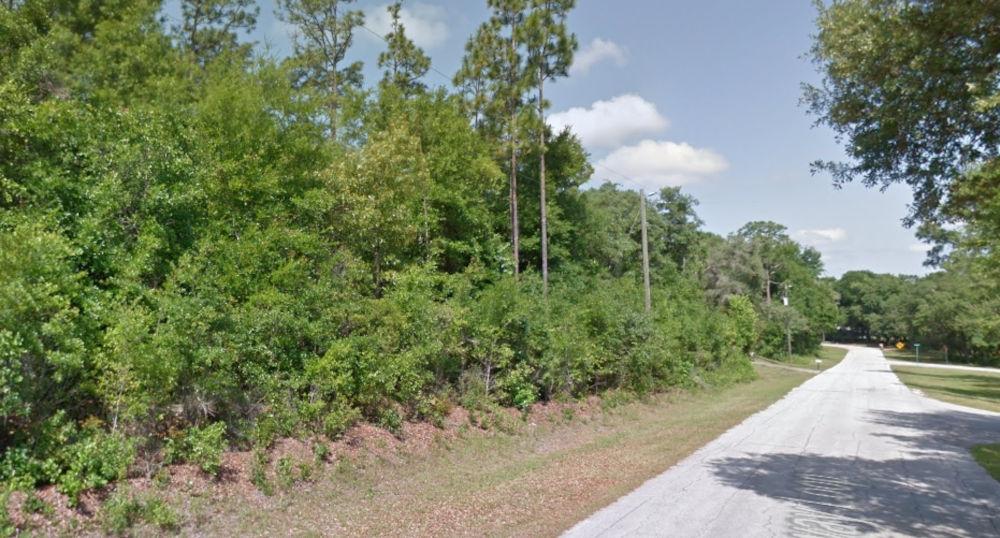 0.29 Acres for Sale in Citrus Springs, Florida