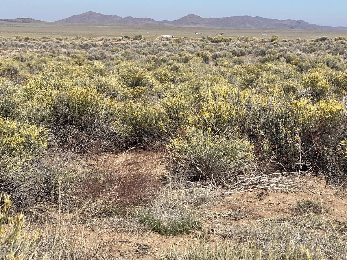 5.2 Acres for Sale in San Luis, Colorado