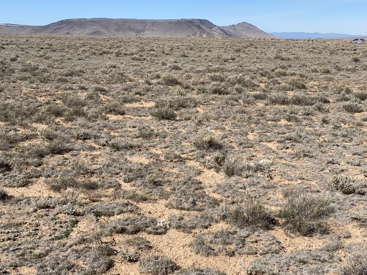 5.2 Acres for Sale in San Luis, Colorado