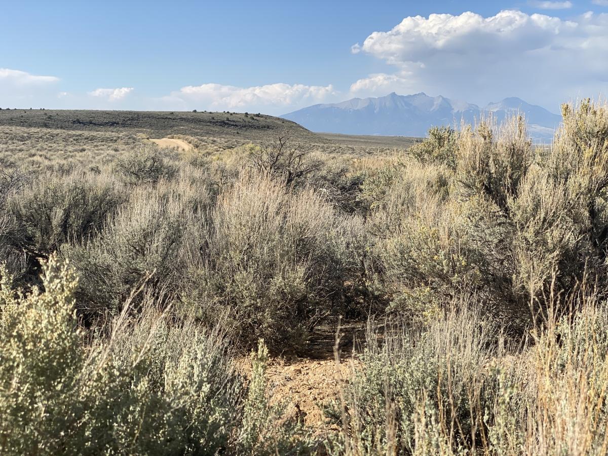 5.2 Acres for Sale in San Luis, Colorado