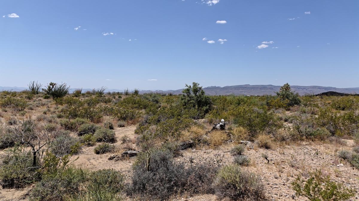 5.2 Acres for Sale in San Luis, Colorado