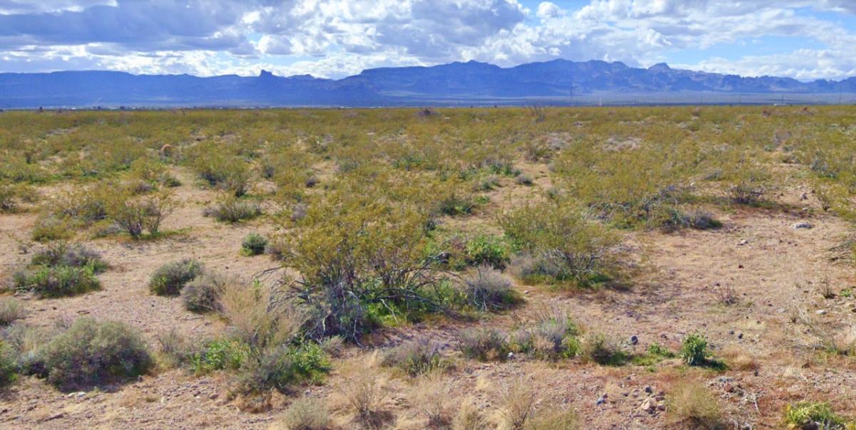0.24 Acres for Sale in Willcox, Arizona