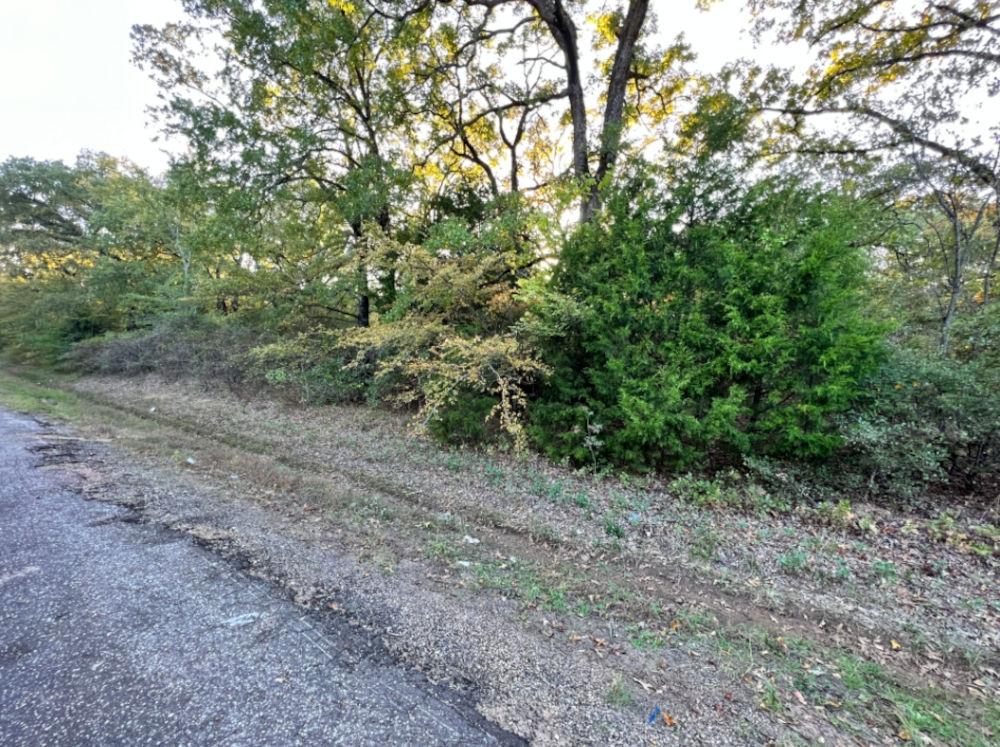 0.11 Acres for Sale in Mabank, Texas