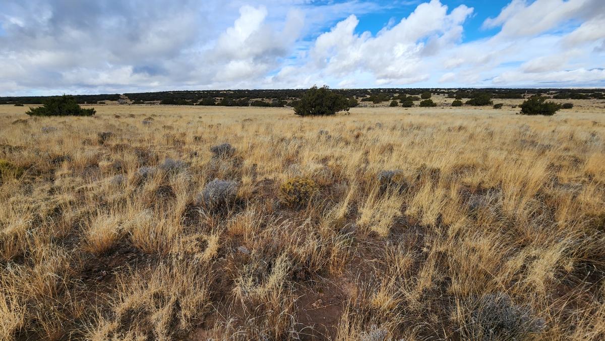 1.24 Acres for Sale in Nahata Dziil, Arizona
