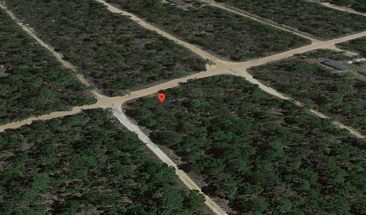 0.23 Acres for Sale in Interlachen, Florida