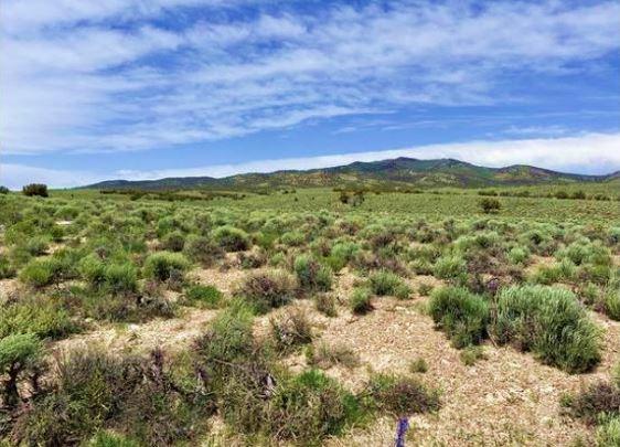 5.0 Acres for Sale in Mesita, Colorado