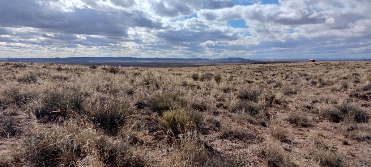 1.16 Acres for Sale in Adamana, Arizona